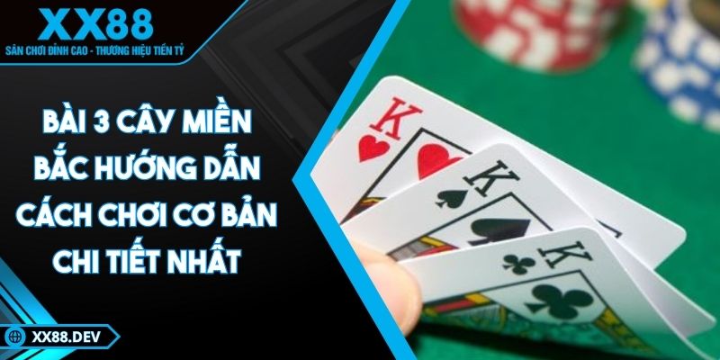 bai-3-cay-mien-bac