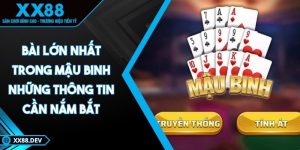 bai-lon-nhat-trong-mau-binh