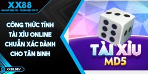 cong-thuc-tinh-tai-xiu-online